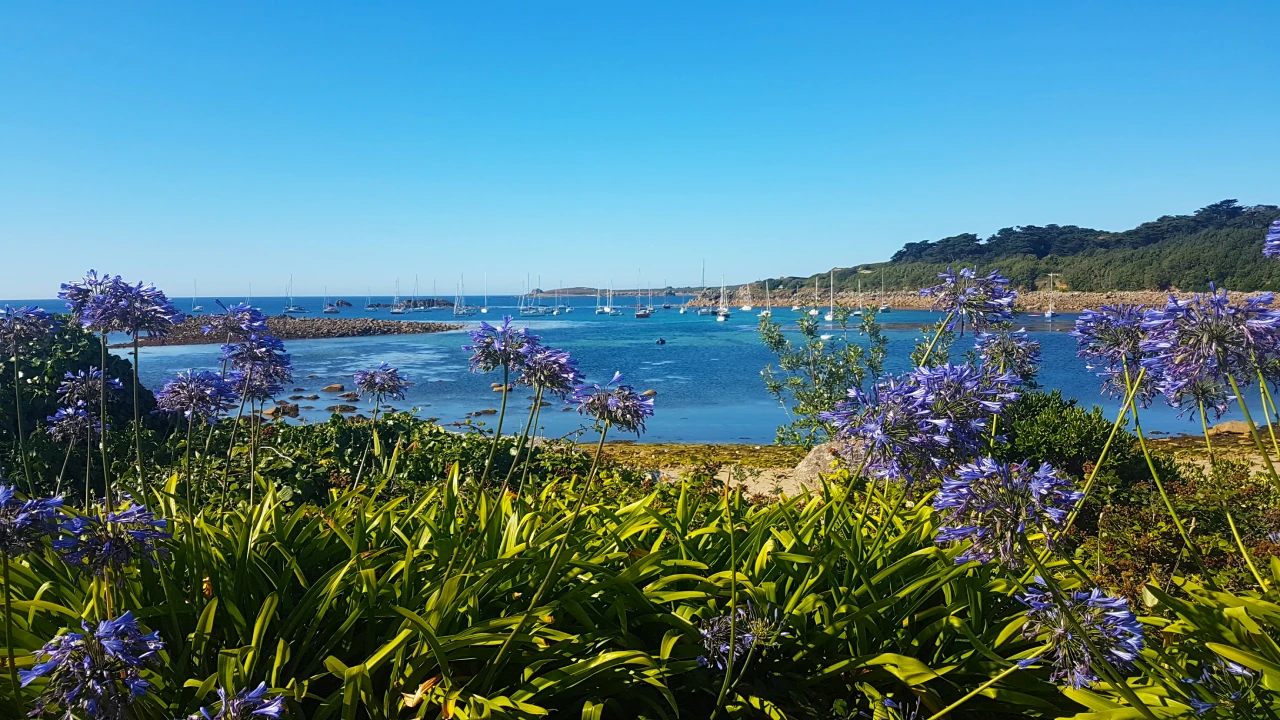 Zone de mouillage de Sainte Mary aux îles scillys.